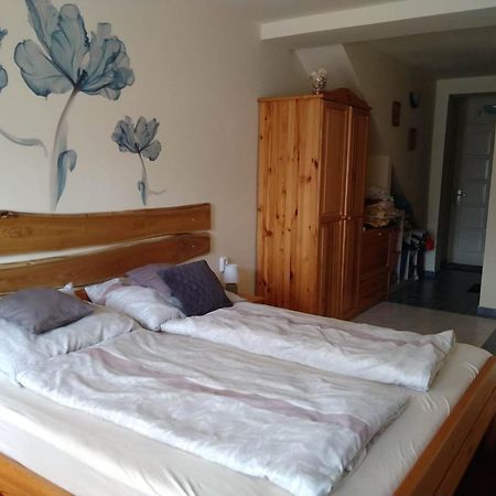 Liliana Vendeghaz Apartment Balatonfůzfő Стая снимка