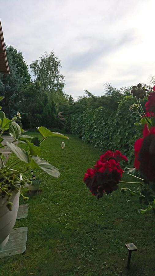 Liliana Vendeghaz Apartment Balatonfůzfő Екстериор снимка